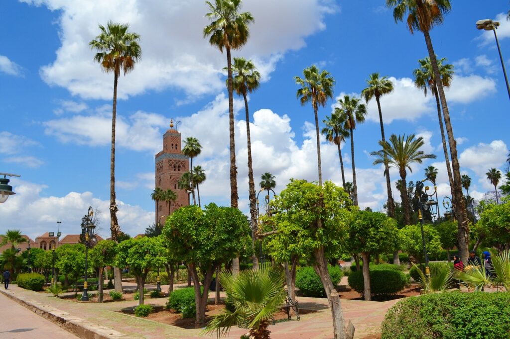 marrakech palmiers MAwebzine