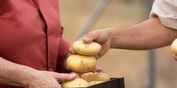 potatoes growing techniques guide