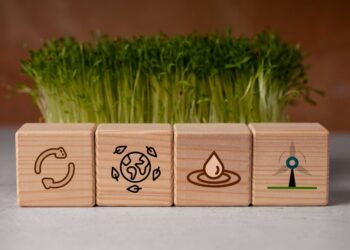 objectifs-de-développement-durable-maroc