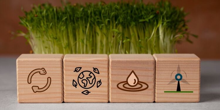 objectifs-de-développement-durable-maroc