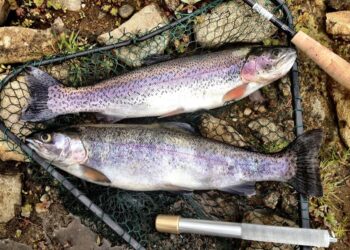 trout fishing season morocco 2025-2026