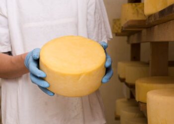 Mann hält Käsebrötchen mit wenig Laktose