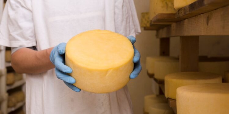 Mann hält Käsebrötchen mit wenig Laktose