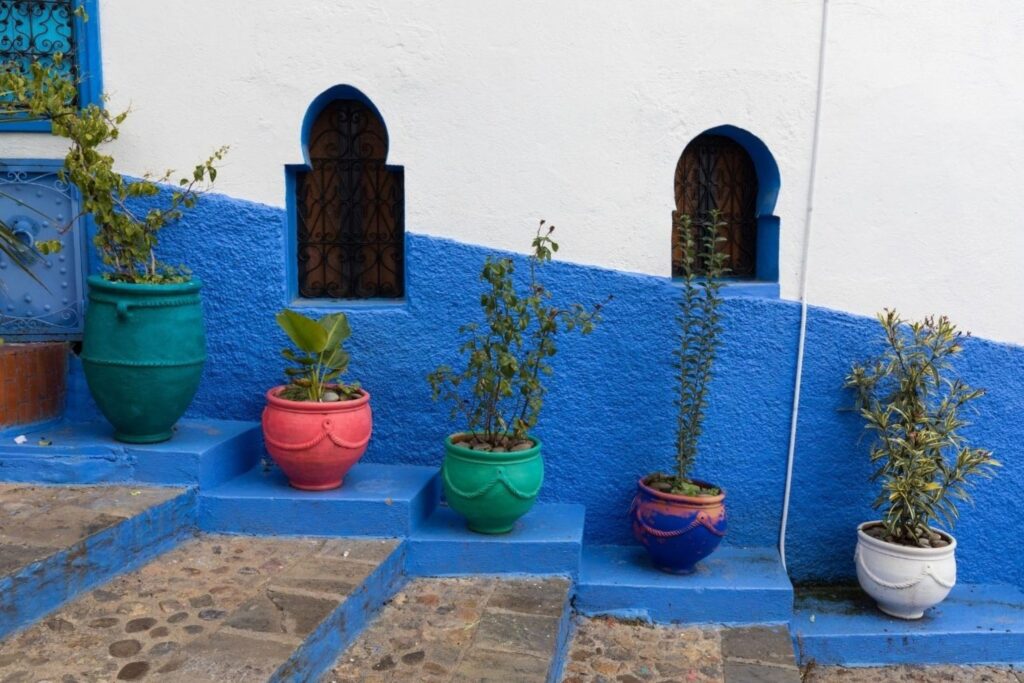 Chefchaouen photography guide showcasing blue city doors with colorful plants for Instagram locations