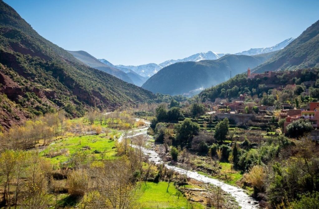 رحلات يومية ربيعية تأخذ السياح إلى وجهة الصويرة الساحلية من مراكش المغرب
