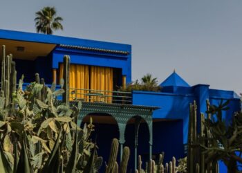 Bright blue modern house with yellow window curtains, set among tall cacti and palm trees against a clear sky.