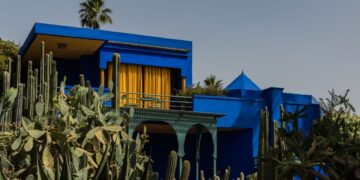 Bright blue modern house with yellow window curtains, set among tall cacti and palm trees against a clear sky.