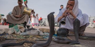 Een moeder en kind kijken samen naar straatartiesten, genietend van Marrakech-activiteiten op het beroemde Jemaa el-Fna plein