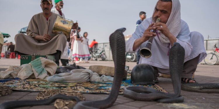 Een moeder en kind kijken samen naar straatartiesten, genietend van Marrakech-activiteiten op het beroemde Jemaa el-Fna plein