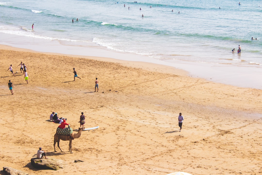 A first-time surfer enters the warm Atlantic water at one of Morocco's beginner surf schools along the coast