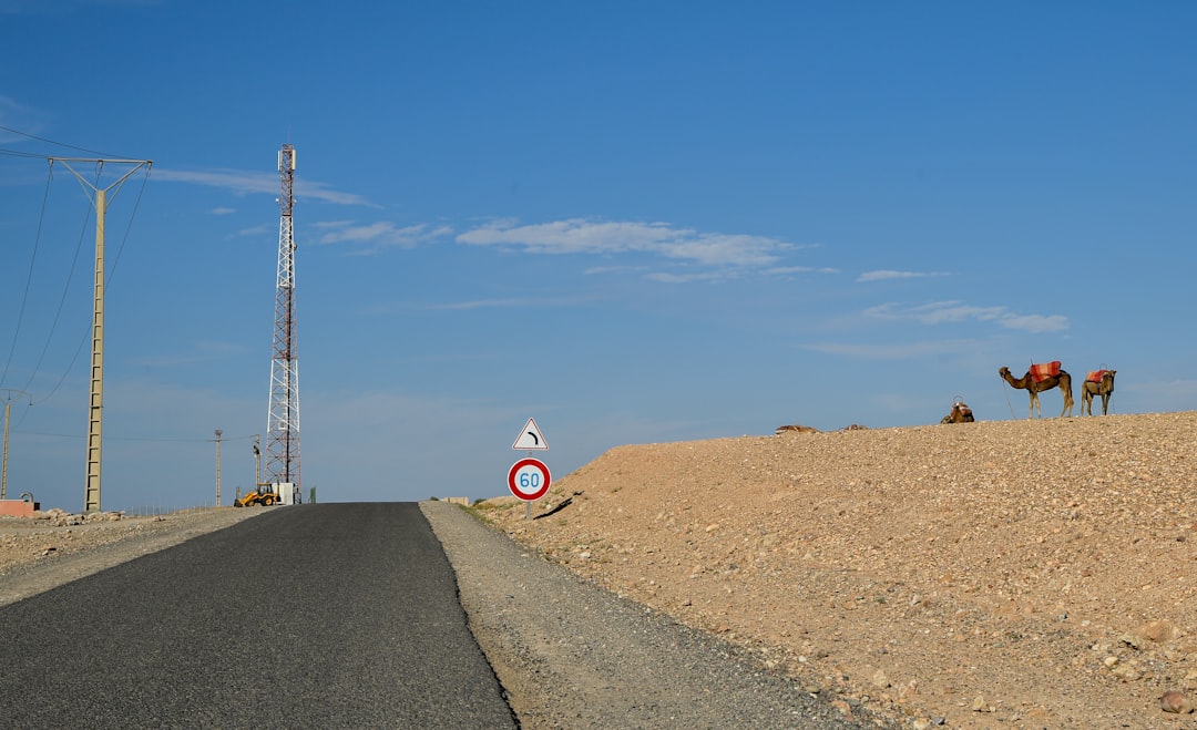يجري فني صيانة على توربين رياح كجزء من توسع الطاقة المتجددة بالمغرب