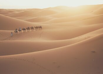 Traveller on a camel during a Sahara trip across Erg Chebbi dunes