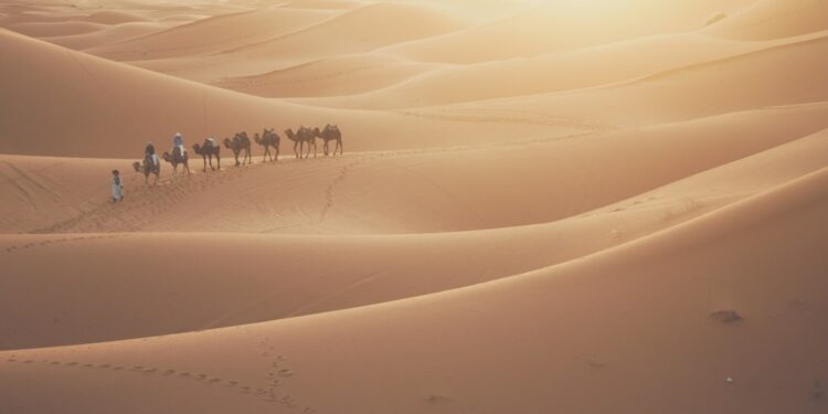 Sahara trip planning pack and book smart photo 1 - MAwebzine Traveller on a camel during a Sahara trip across Erg Chebbi dunes